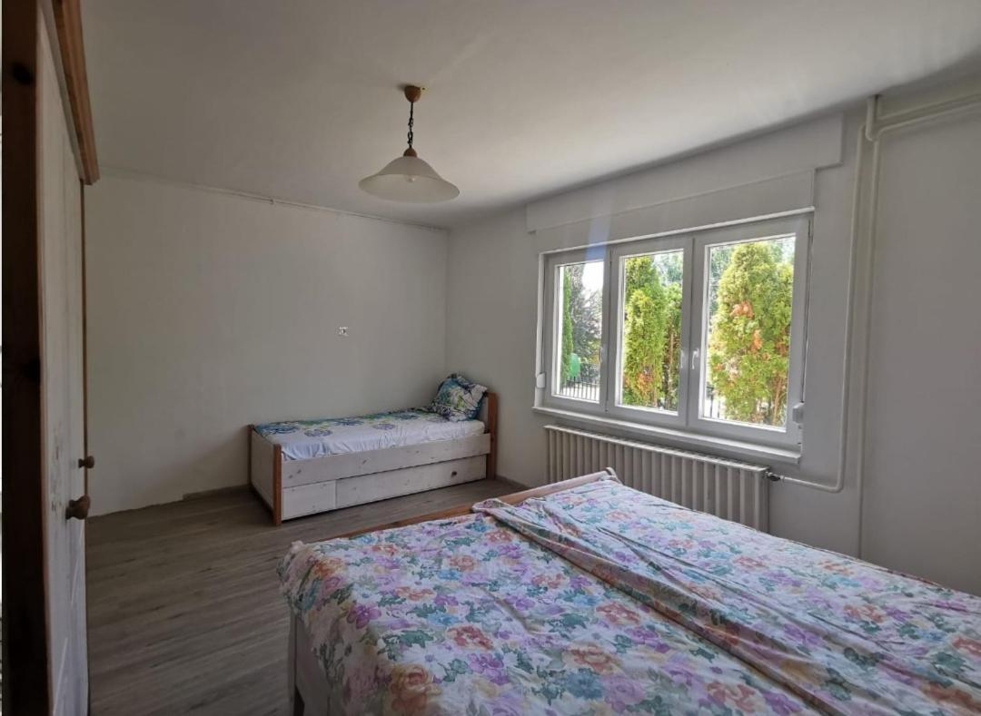 Appartement Grosses Ferienhaus Plattensee Balaton - Nyaralo Haz 6 Szobaval, 5 Fuerdoszobaval, 3000 Nm à Szolad Extérieur photo