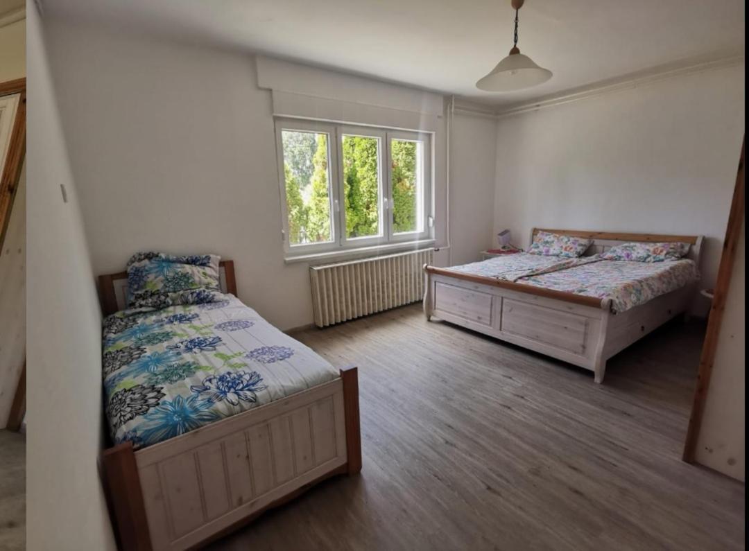 Appartement Grosses Ferienhaus Plattensee Balaton - Nyaralo Haz 6 Szobaval, 5 Fuerdoszobaval, 3000 Nm à Szolad Extérieur photo